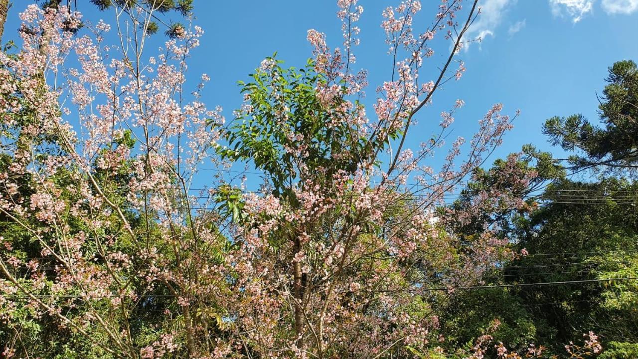 Pousada Toque De Minas Visconde De Maua Bagian luar foto