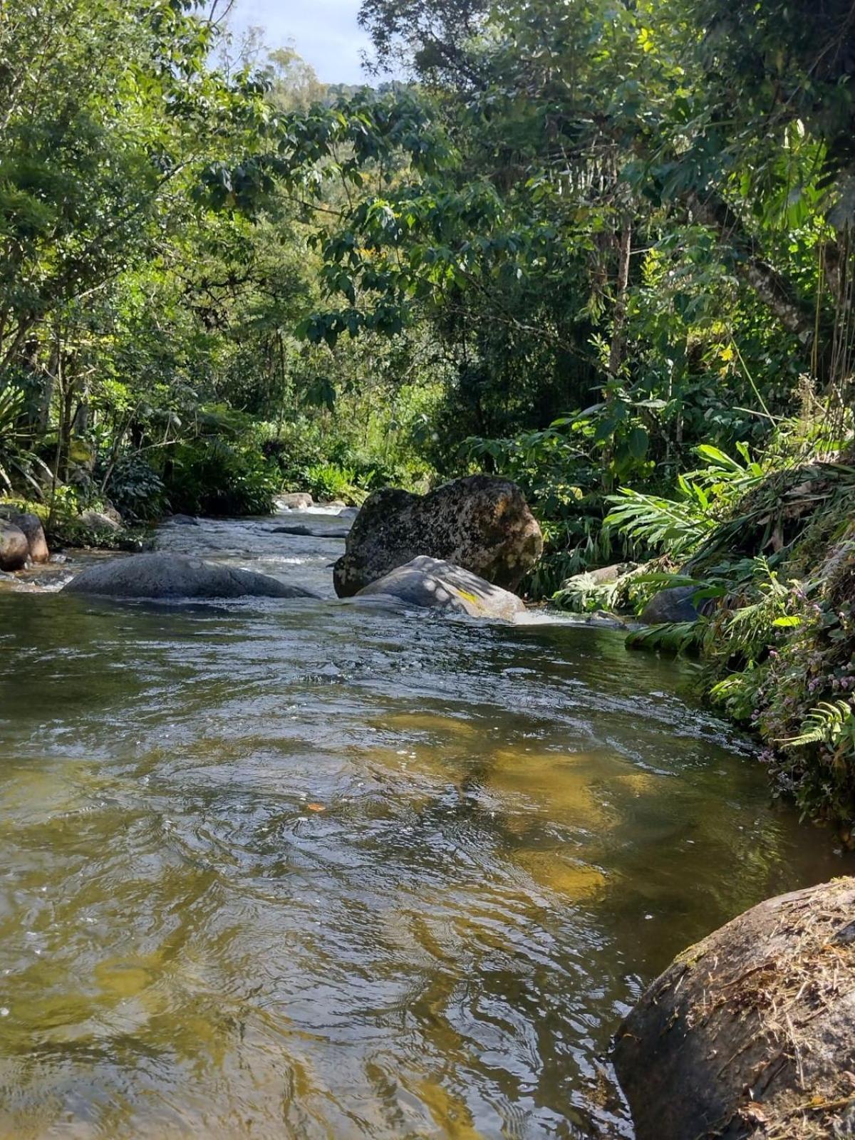 Pousada Toque De Minas Visconde De Maua Bagian luar foto